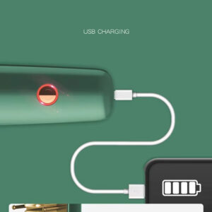 Professional Rechargeable Portable Hair Straightener Comb Cordless Brush