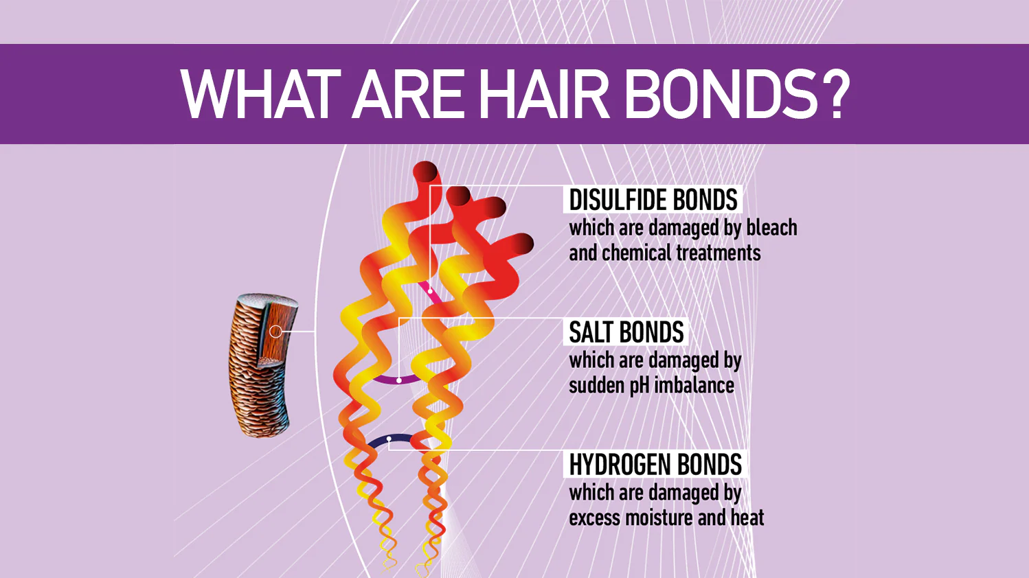 hair bonds