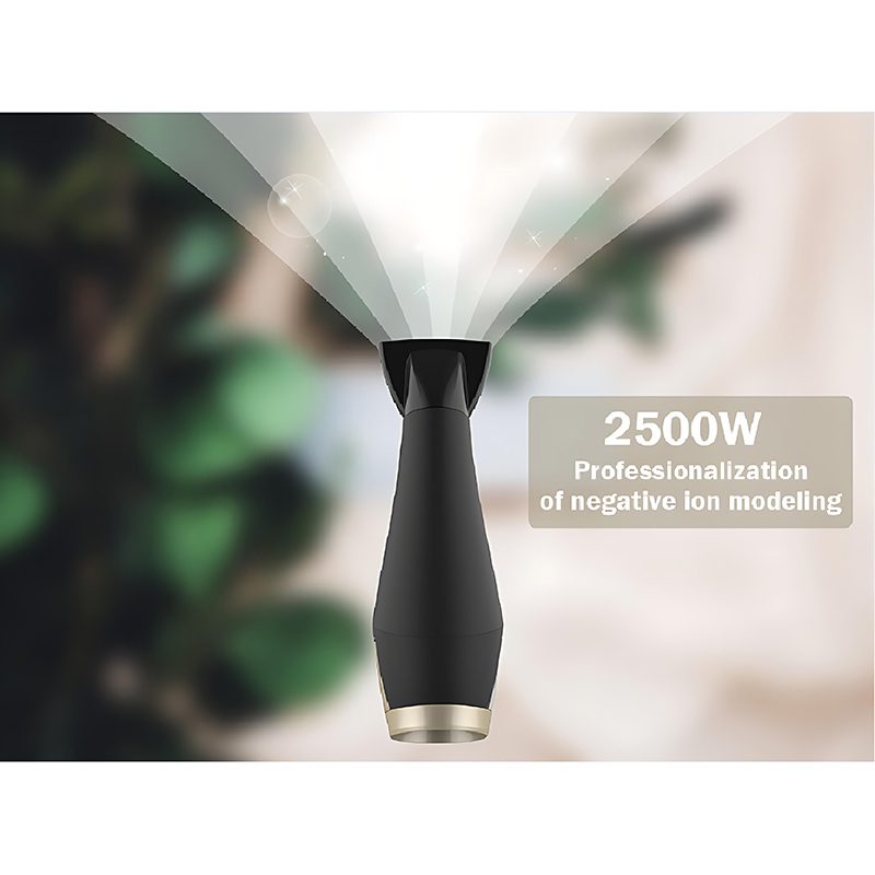 2500W Powerful Strong Air Speed Hairdryer Blow Dryer Professional Ionic DR940028-6 Negative Ion Foldable Hair Fast Drying Electric Hair Dryer with Concentrator