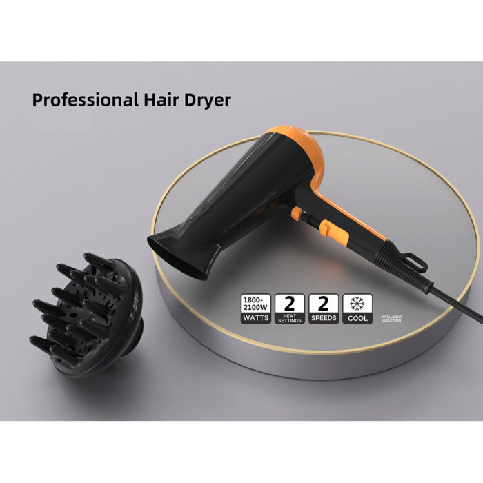 DC Motor Household Hair Dryer with Diffuser and Concentrator Negative Ion
