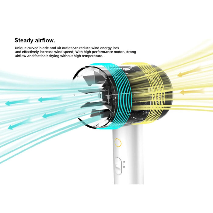 Professional Salon Hair Dryer with Concentrator 2 Heat & Speed Ionic Leafless Blow