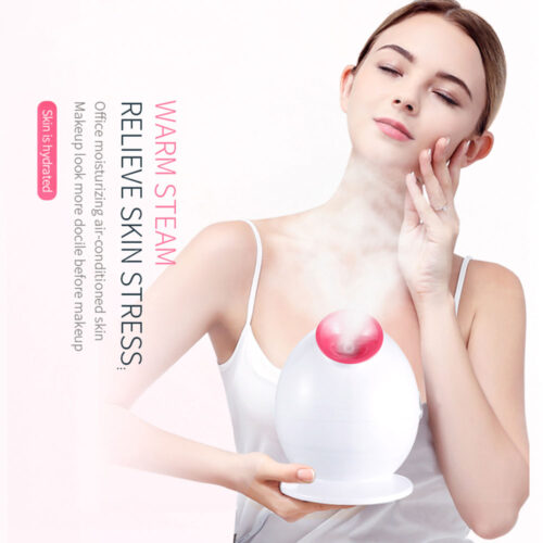 Distributors Wanted Electric Nano Home Use Cheap Facial Steamer Portable