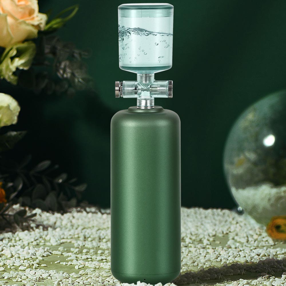 Custom Electric Water Mist Makeup Moisturizer Facial Nano Oxygen Injector FS093015-03 Negative Ion Foldable Hair Fast Drying Electric Hair Dryer with Concentrator