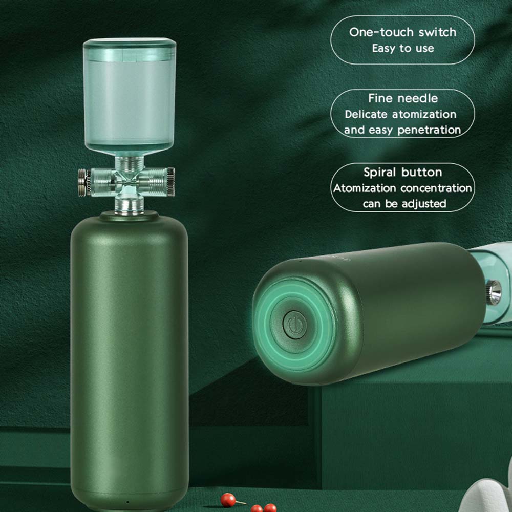 Custom Electric Water Mist Makeup Moisturizer Facial Nano Oxygen Injector FS093015-04 Negative Ion Foldable Hair Fast Drying Electric Hair Dryer with Concentrator