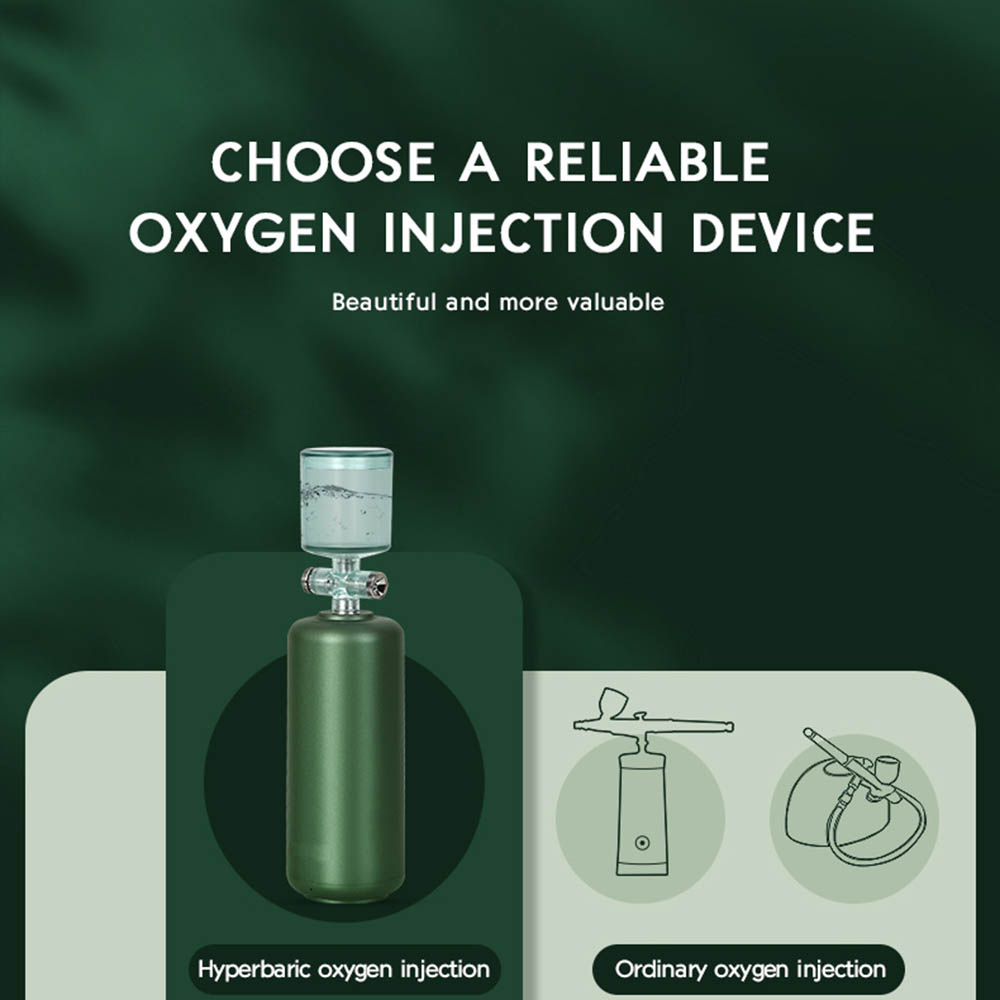 Custom Electric Water Mist Makeup Moisturizer Facial Nano Oxygen Injector FS093015-06 Negative Ion Foldable Hair Fast Drying Electric Hair Dryer with Concentrator