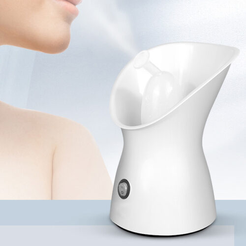 Custom Portable Face Steamer Cheap Ionic Mini Nano Beauty Mist hot and cold