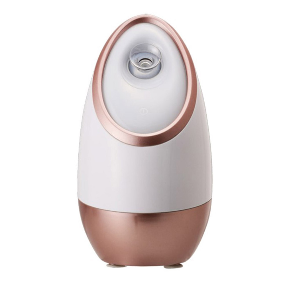 Facial Steamer Nano Ionic Warm Mist Sauna Portable Humidifier Machine FS099568-02 Negative Ion Foldable Hair Fast Drying Electric Hair Dryer with Concentrator