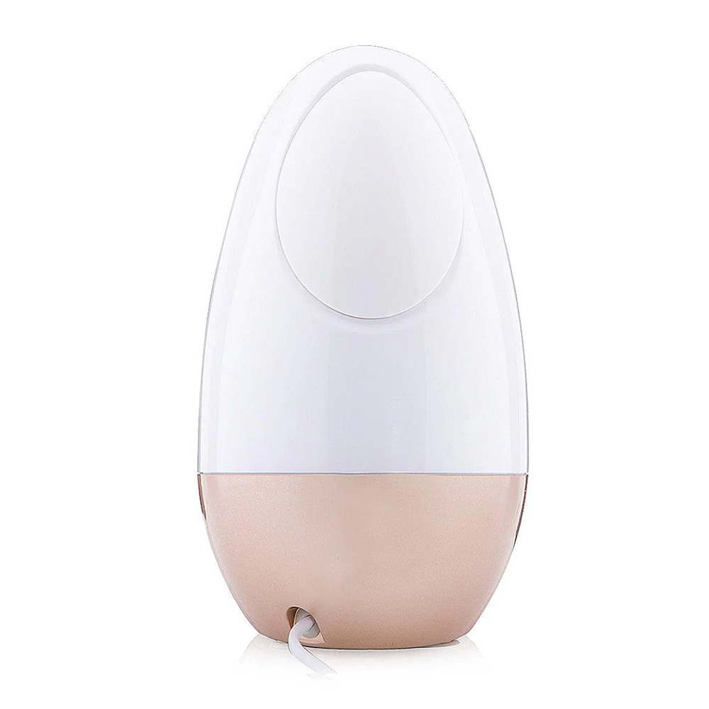 Facial Steamer Nano Ionic Warm Mist Sauna Portable Humidifier Machine FS099568-05 Negative Ion Foldable Hair Fast Drying Electric Hair Dryer with Concentrator