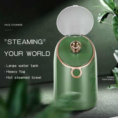New Product Facial Steamer Water Vapor Fireplace Professional Nano Mist custom
