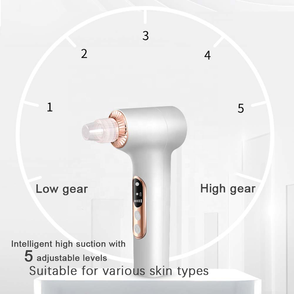 Facial Cleansing Vibration Massage Mask Skin Pore Vacuum Blackhead Remover CB092005-06 Negative Ion Foldable Hair Fast Drying Electric Hair Dryer with Concentrator